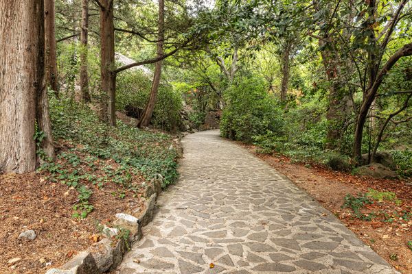Stone Walkway Repair in Arlington
