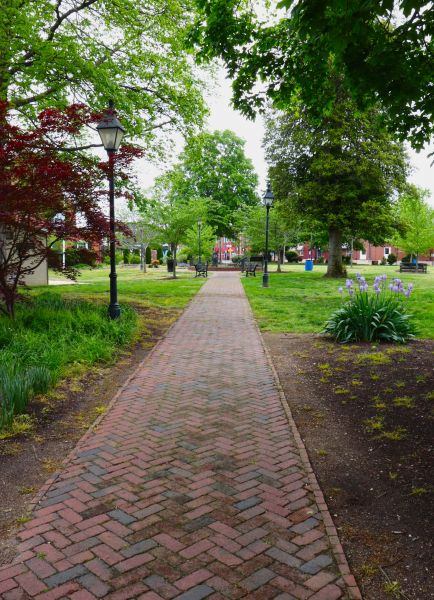 Brick Pathway Repair in Arlington