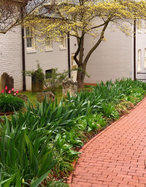 Brick Flatwork Repair in Arlington